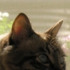 DSCN0735.JPG