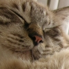 DSCN2286.JPG
