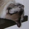 DSCN2273.JPG