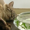 DSCN2239.JPG