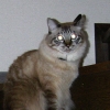 DSCN2451.JPG