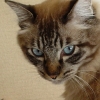 DSC04127.JPG