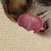 DSC04129.JPG