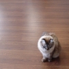 DSC04159.JPG