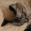 DSCN1032.JPG