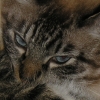 DSCN0961.JPG