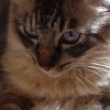 DSC04175.JPG