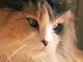 FH000011.JPG