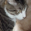DSC00248.JPG
