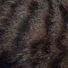 DSC00250.JPG