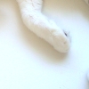 DSC01270.JPG