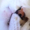 DSC01280.JPG