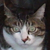DSC01524.JPG
