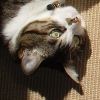 DSC01575.JPG