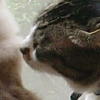 DSC01687.JPG