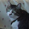 DSC01758.JPG