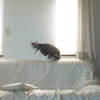 DSC01760.JPG