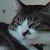 DSC01782.JPG