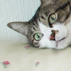 DSC02126.JPG