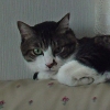 DSC02131.JPG