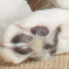 DSC02281.JPG