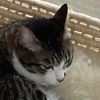 DSC02538.JPG