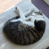 DSC02701_1.JPG