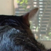 DSC02689_1.JPG