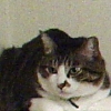 DSC02546.JPG