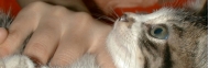 DSC00226.JPG