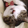 DSC02758.JPG
