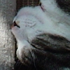 DSC02854.JPG
