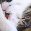 DSC02878.JPG