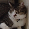 DSC03549.JPG