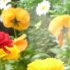 DSCN0260.JPG