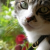 DSCN0261.JPG