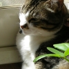 DSCN0350.JPG