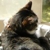 DSCN0435.JPG