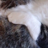 DSC03972.JPG