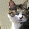 DSCN0511.JPG