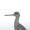 DSCN2141.JPG