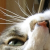 DSCN2256.JPG