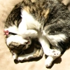 DSCN2632.JPG