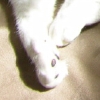 DSCN2611.JPG