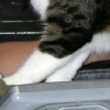 DSCN2610.JPG