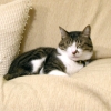 DSCN2588.JPG