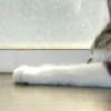 DSCN2343.JPG