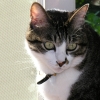DSCN0034.JPG