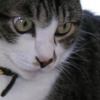 DSCN0047.JPG