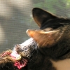 DSCN0058.JPG